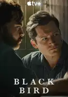 Чёрная птица смотреть онлайн сериал 1 сезон